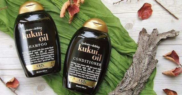 OGX Hydrate + Defrizz+ Kukui Oil Shampoo