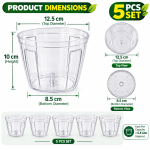 Premium 5 Inch Transparent Plant Pot - Image 6