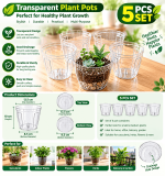 Premium 5 Inch Transparent Plant Pot - Image 4