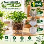 Premium 5 Inch Transparent Plant Pot - Image 3